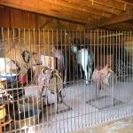 2019_OTRA_1388 (September 07, 2019)